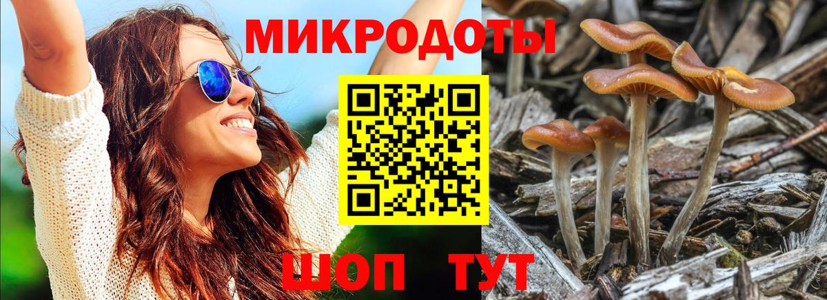 Галлюциногенные грибы Magic Shrooms  Галлюциногенные грибы Magic Shrooms  Вход с VPN  Саранск 